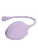 Kegel Training 3 Pcs Purple CalExotics