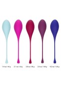 Kegel Training 5 Pcs Multicolor CalExotics