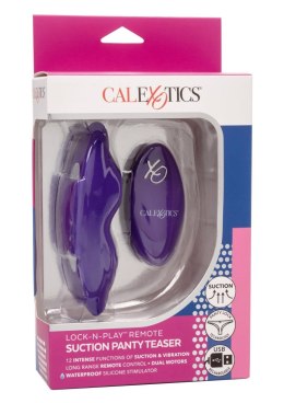 Remote Suction Panty Teaser Purple CalExotics