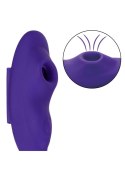 Remote Suction Panty Teaser Purple CalExotics