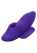 Remote Suction Panty Teaser Purple CalExotics