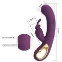 PRETTY LOVE - Liam purple, 12 vibration functions Mobile APP Long-distance Control Pretty Love