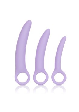 Alena Set of 3 Dilators Purple CalExotics