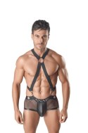 AXEL HARNESS (III) L/XL Anais