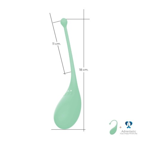 AD.Palpitation Mint (Huevo Vibrador + Cable + App) Adrien Lastic AD.Palpitation Mint (Huevo Vibrador + Cable + App) Adrien Lastic