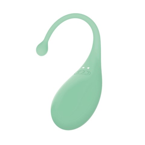 AD.Palpitation Mint (Huevo Vibrador + Cable + App) Adrien Lastic AD.Palpitation Mint (Huevo Vibrador + Cable + App) Adrien Lastic