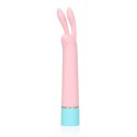 Mini Rabbit Vibrator with USB Charger Loveline