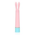 Mini Rabbit Vibrator with USB Charger Loveline