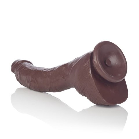 Dildo-COLT ADAM DEXTER DONG BROWN Dildo-COLT ADAM DEXTER DONG BROWN