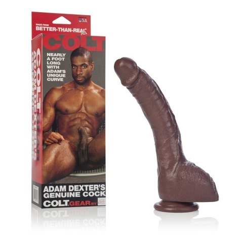 Dildo-COLT ADAM DEXTER DONG BROWN Dildo-COLT ADAM DEXTER DONG BROWN