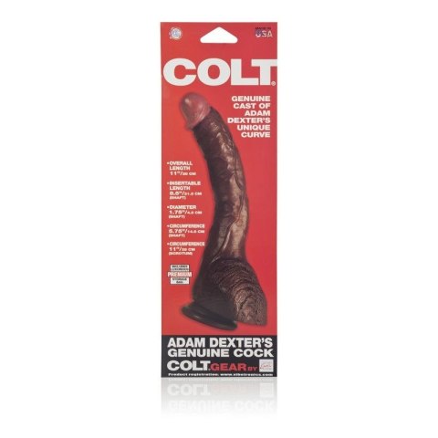 Dildo-COLT ADAM DEXTER DONG BROWN Dildo-COLT ADAM DEXTER DONG BROWN