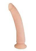 Miękkie dildo z przyssawką realistyczny penis 24cm Nature Skin