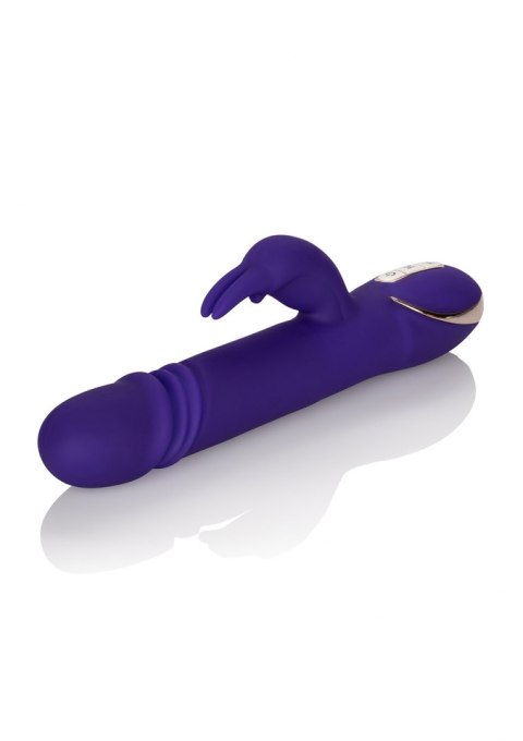 Wibrator-JACK RABBITSIGNATURE PURPLE CalExotics Wibrator-JACK RABBITSIGNATURE PURPLE CalExotics
