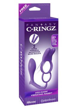 Plug/vibr-ASS GASM VIBRATING RABBIT PURPLE